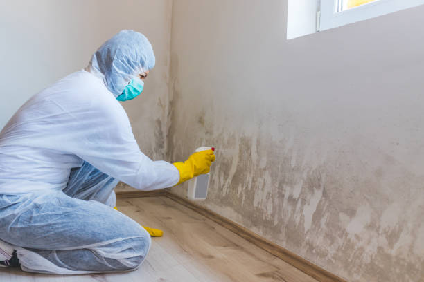 Licensed Commercial Mold Remediation service in Odessa, TX - Mold Remediation HQ