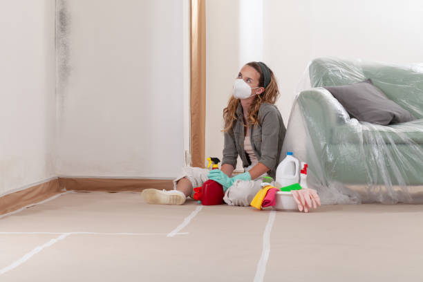Reliable Commercial Mold Remediation contractor in Odessa, TX by Mold Remediation HQ